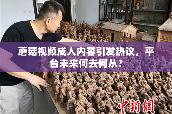 蘑菇视频成人内容引发热议，平台未来何去何从？