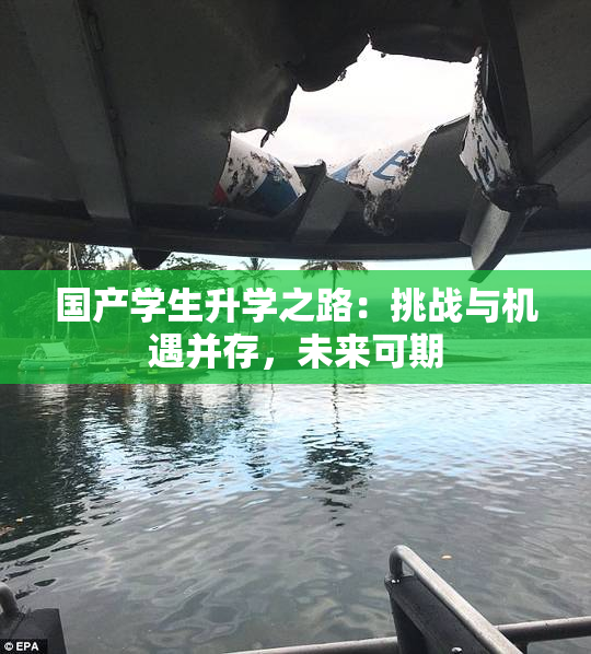 国产学生升学之路：挑战与机遇并存，未来可期