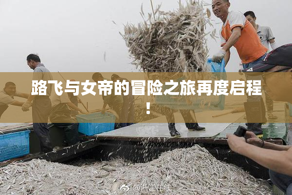路飞与女帝的冒险之旅再度启程！