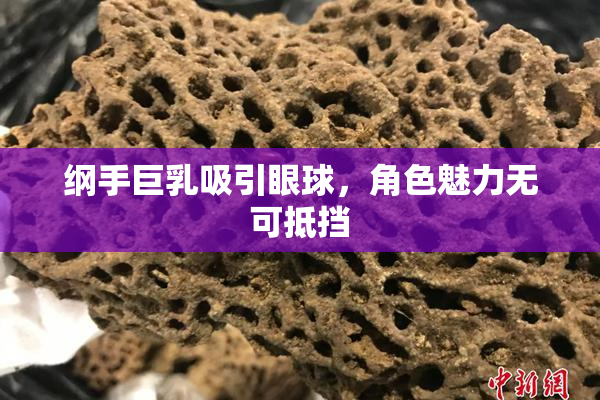 纲手巨乳吸引眼球，角色魅力无可抵挡