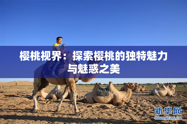 樱桃视界：探索樱桃的独特魅力与魅惑之美