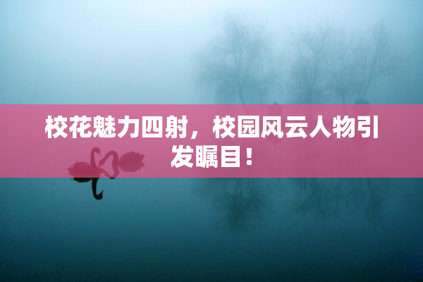 校花魅力四射，校园风云人物引发瞩目！