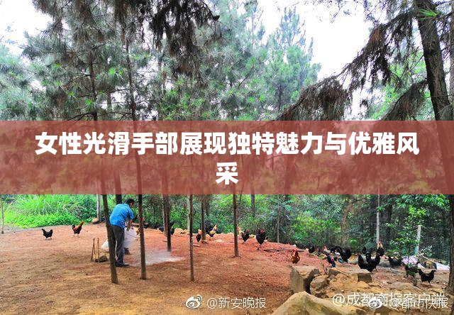女性光滑手部展现独特魅力与优雅风采