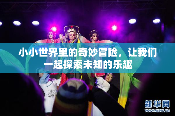 小小世界里的奇妙冒险，让我们一起探索未知的乐趣