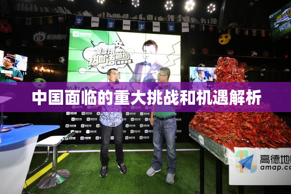 中国面临的重大挑战和机遇解析