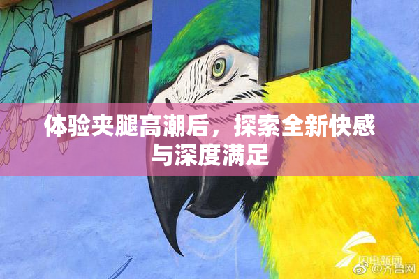 体验夹腿高潮后，探索全新快感与深度满足