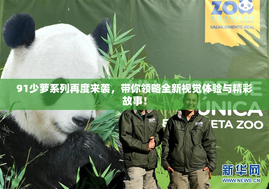 91少萝系列再度来袭，带你领略全新视觉体验与精彩故事！
