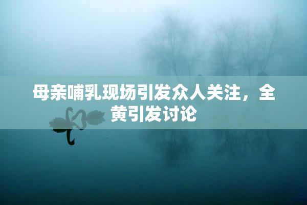 母亲哺乳现场引发众人关注，全黄引发讨论