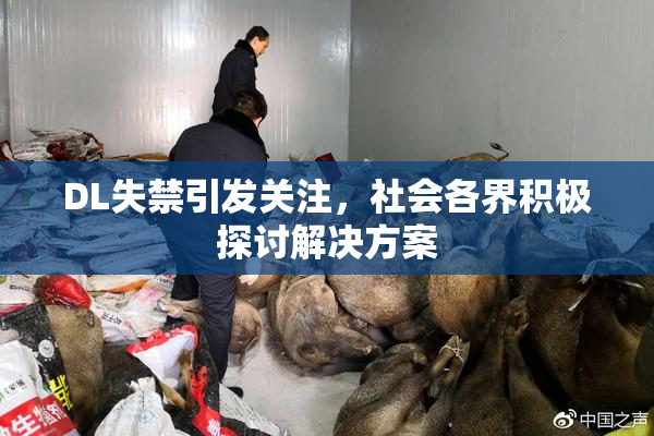 DL失禁引发关注，社会各界积极探讨解决方案