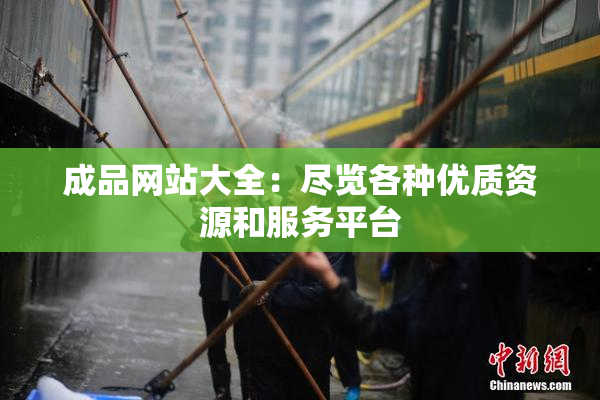 成品网站大全：尽览各种优质资源和服务平台