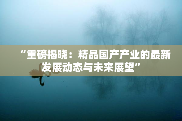 “重磅揭晓：精品国产产业的最新发展动态与未来展望”