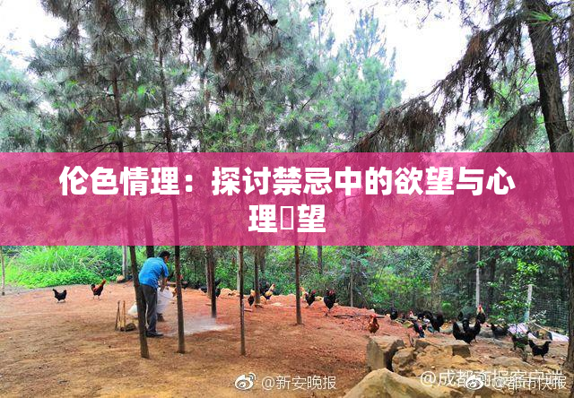 伦色情理：探讨禁忌中的欲望与心理瞭望