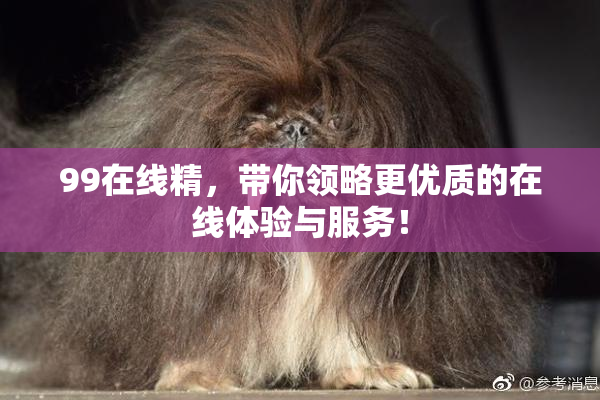 99在线精，带你领略更优质的在线体验与服务！
