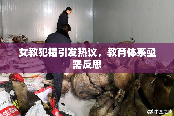 女教犯错引发热议，教育体系亟需反思