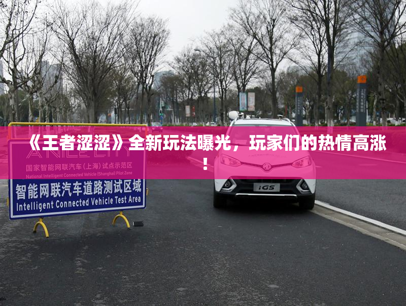 《王者涩涩》全新玩法曝光，玩家们的热情高涨！