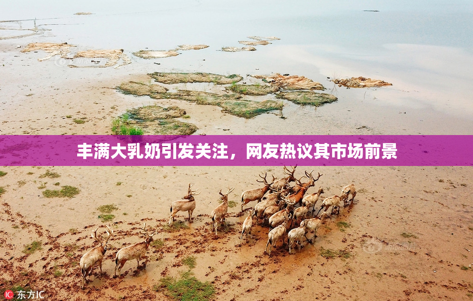 丰满大乳奶引发关注，网友热议其市场前景