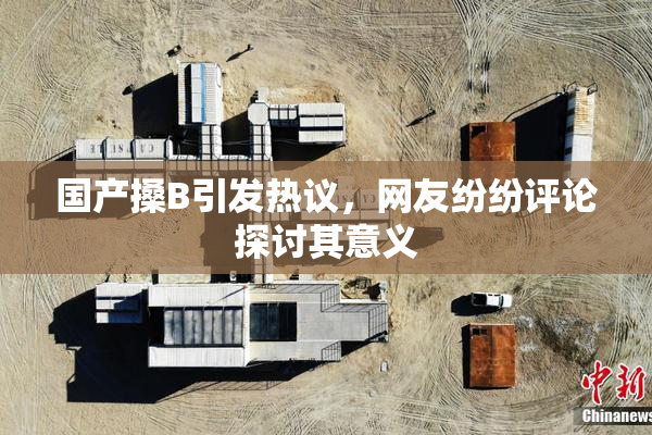 国产搡B引发热议，网友纷纷评论探讨其意义