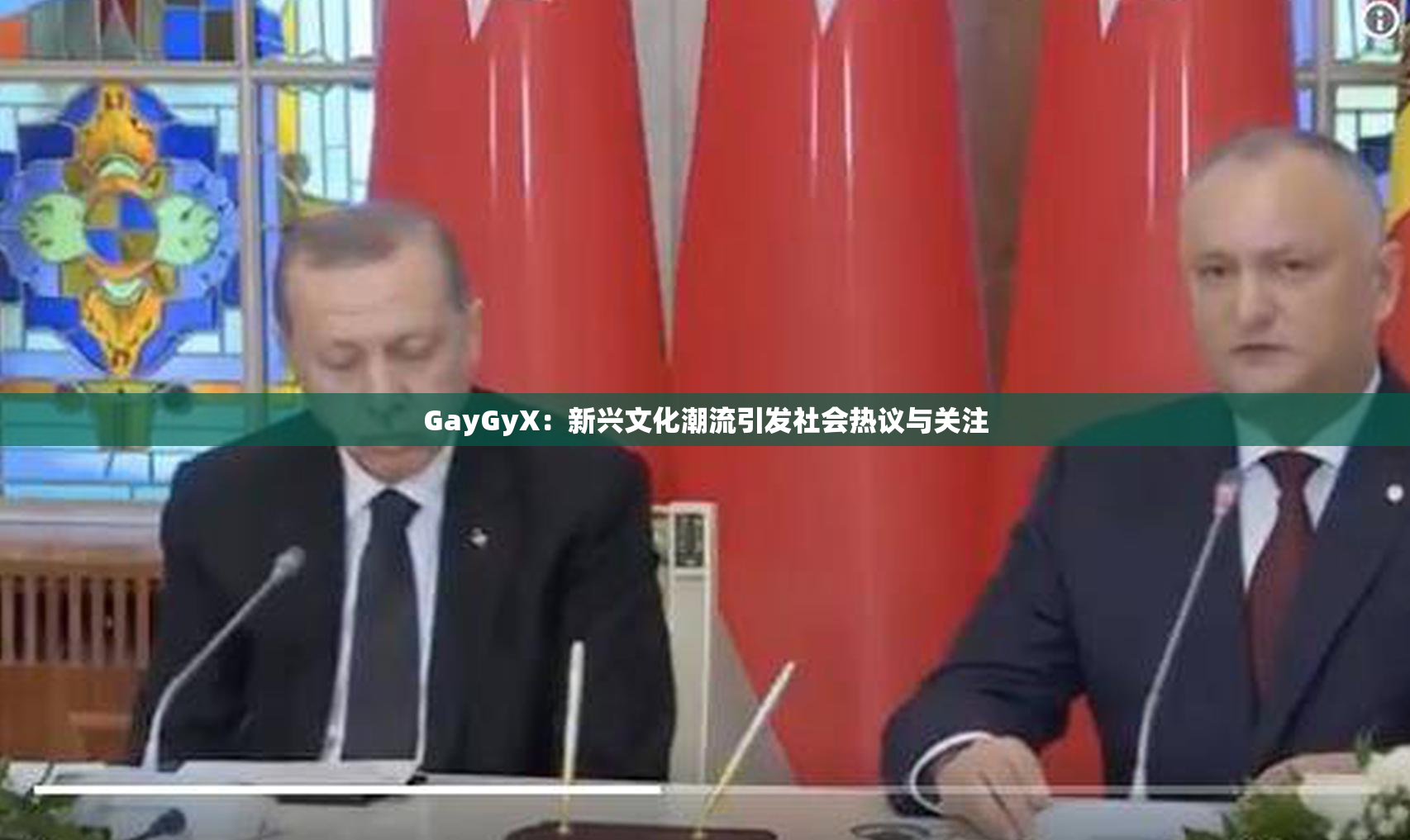 GayGyX：新兴文化潮流引发社会热议与关注