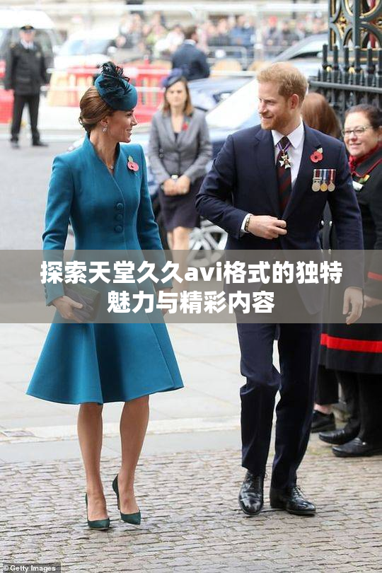 探索天堂久久avi格式的独特魅力与精彩内容