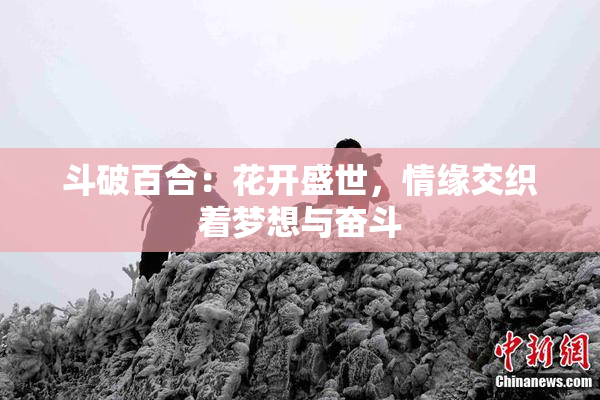 斗破百合：花开盛世，情缘交织着梦想与奋斗