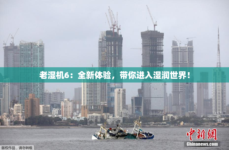 老湿机6：全新体验，带你进入湿润世界！