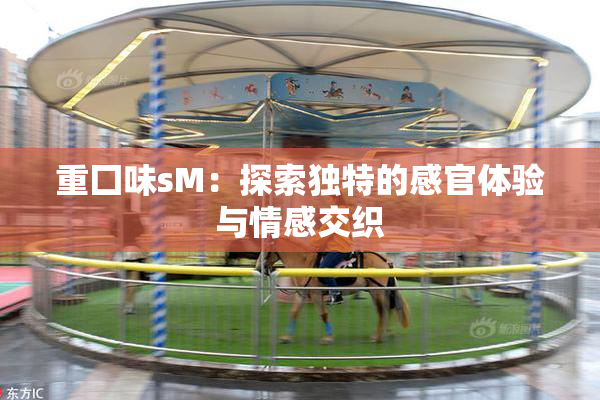 重囗味sM：探索独特的感官体验与情感交织