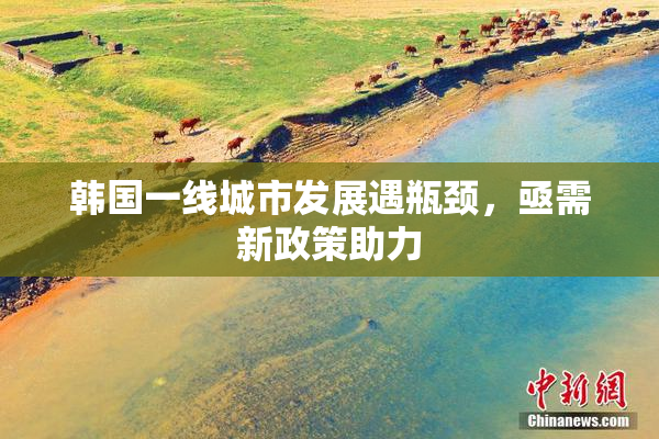 韩国一线城市发展遇瓶颈，亟需新政策助力