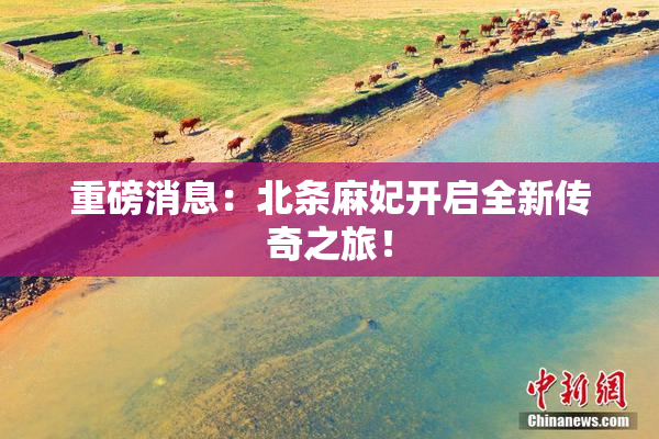 重磅消息：北条麻妃开启全新传奇之旅！