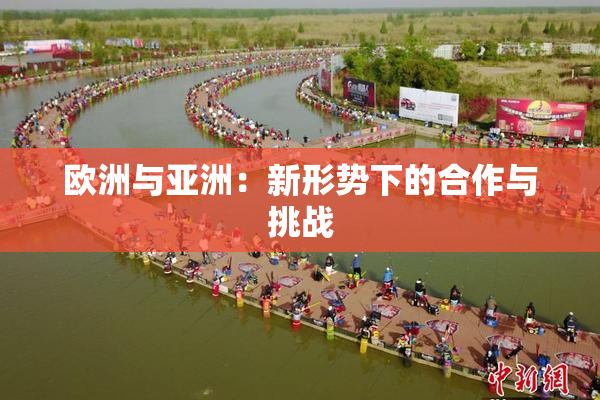 欧洲与亚洲：新形势下的合作与挑战