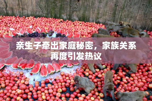 亲生子牵出家庭秘密，家族关系再度引发热议