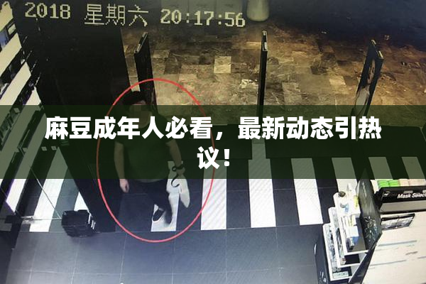 麻豆成年人必看，最新动态引热议！