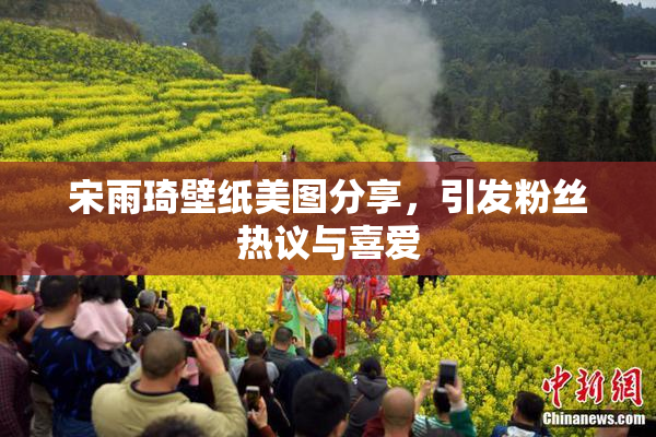 宋雨琦壁纸美图分享，引发粉丝热议与喜爱