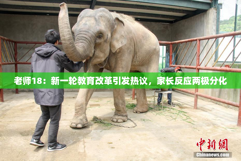 老师18：新一轮教育改革引发热议，家长反应两极分化