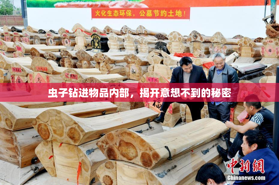 虫子钻进物品内部，揭开意想不到的秘密