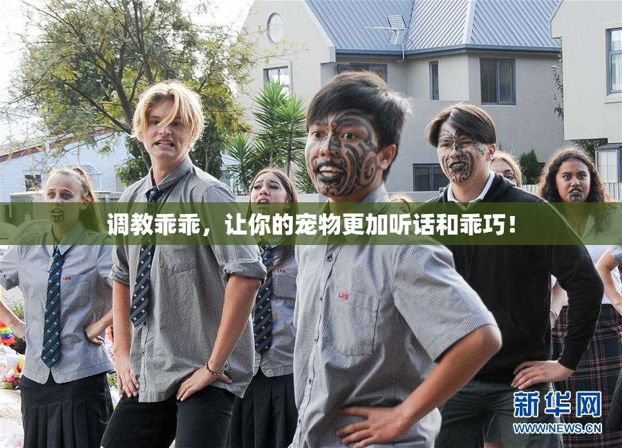 调教乖乖，让你的宠物更加听话和乖巧！