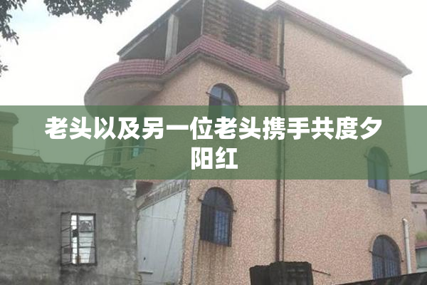 老头以及另一位老头携手共度夕阳红