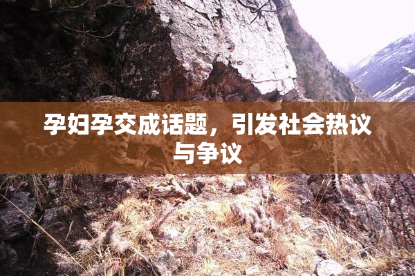 孕妇孕交成话题，引发社会热议与争议
