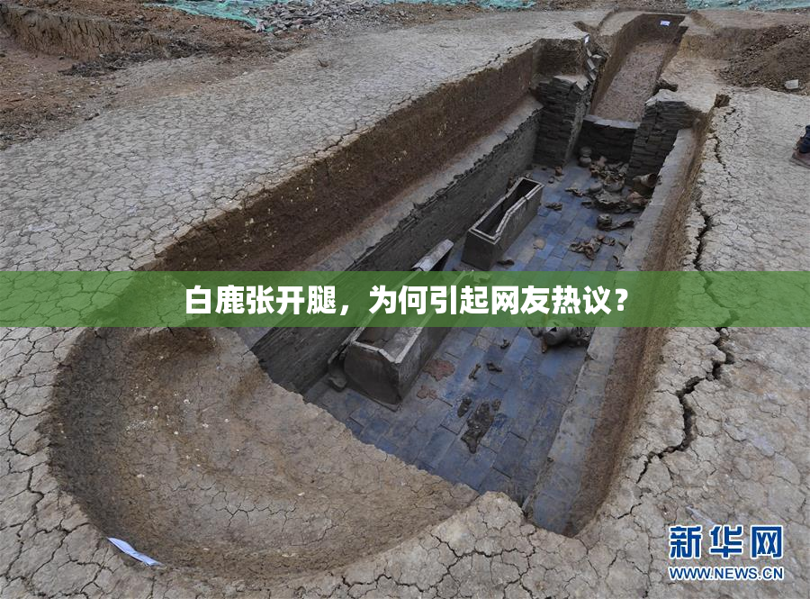 白鹿张开腿，为何引起网友热议？