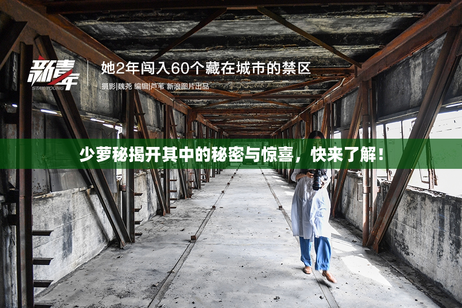少萝秘揭开其中的秘密与惊喜，快来了解！