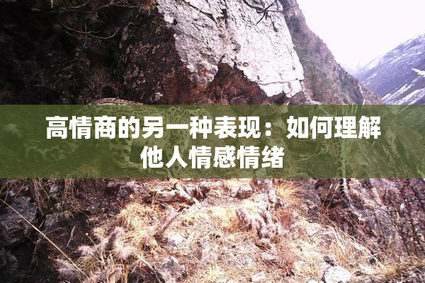 高情商的另一种表现：如何理解他人情感情绪