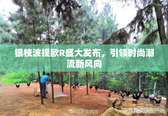 银枝波提欧R盛大发布，引领时尚潮流新风向