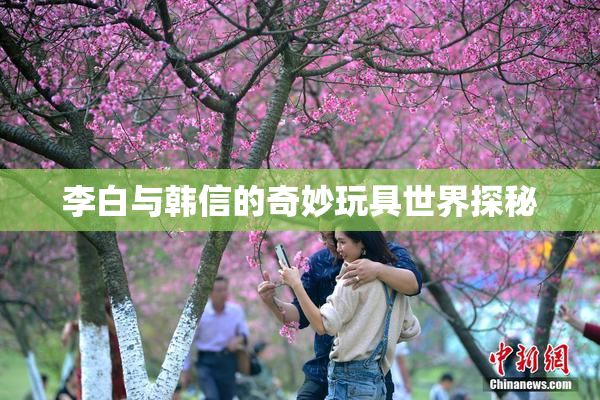 李白与韩信的奇妙玩具世界探秘