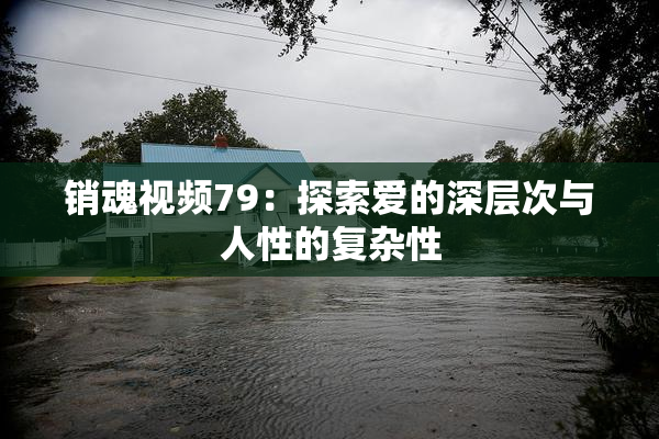 销魂视频79：探索爱的深层次与人性的复杂性