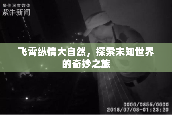 飞霄纵情大自然，探索未知世界的奇妙之旅