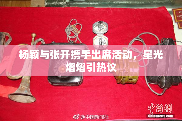 杨颖与张开携手出席活动，星光熠熠引热议