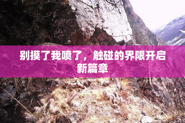 别摸了我喷了，触碰的界限开启新篇章