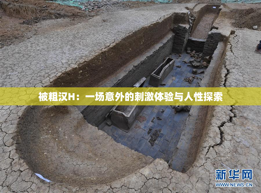 被粗汉H：一场意外的刺激体验与人性探索