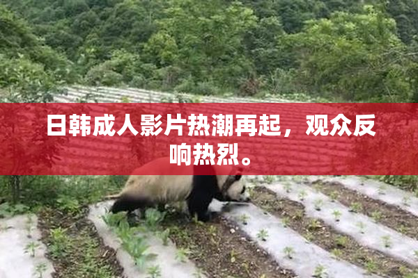 日韩成人影片热潮再起，观众反响热烈。