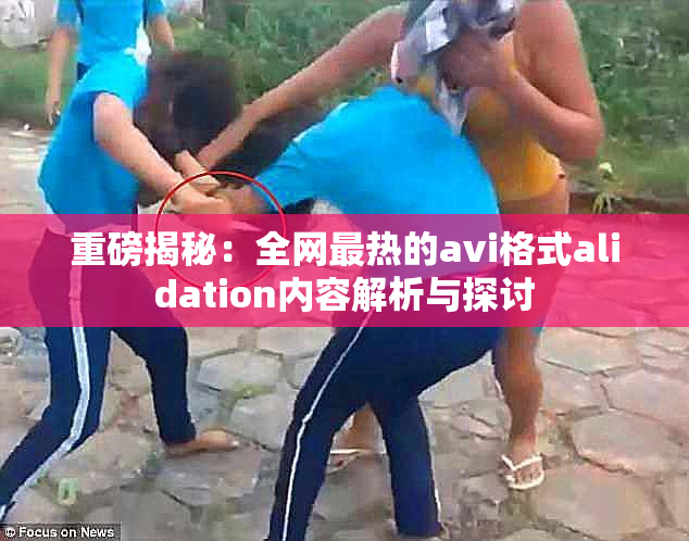 重磅揭秘：全网最热的avi格式alidation内容解析与探讨
