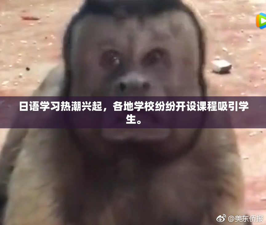 日语学习热潮兴起，各地学校纷纷开设课程吸引学生。